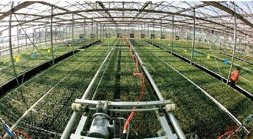 AI引領(lǐng)農(nóng)業(yè)變革 未來十年我國將停止無公害農(nóng)產(chǎn)品認證