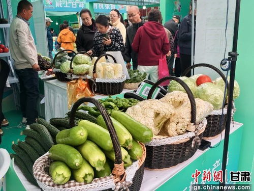 暮秋蘭州甘味濃，張掖有機(jī)農(nóng)產(chǎn)品展銷會(huì)圈粉金城苗木