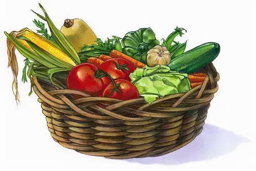 節前走訪菜市場 貨源充足價格穩，新春苗木添綠意