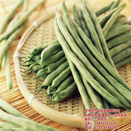 宏鴻農(nóng)產(chǎn)品集團(tuán) 以專業(yè)配送引領(lǐng)有機(jī)蔬菜新風(fēng)尚