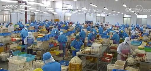 拓市場穩(wěn)訂單，我國蔬菜出口逐步回暖